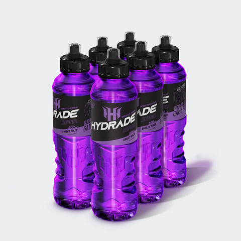 Hydrade 500ml - Violet Haze