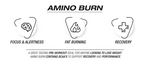 NPL Amino Burn 200g