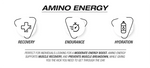 NPL Amino Energy 240g